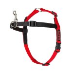 Harnais d'ducation halti small30 - 60 cm
