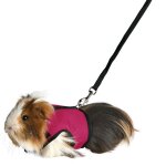 Harnais soft avec laisse pour cochon d'inde 18 - 25 cm Harnais soft avec laisse pour cochon d'inde 18 - 25 cm