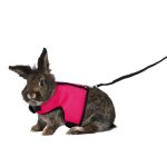 Harnais soft avec laisse pour grand lapin 25 - 40 cm Harnais soft avec laisse pour grand lapin 25 - 40 cm