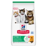 Hill?s science plan kitten croquettes chaton au poulet 300g