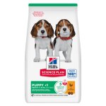 Hill's science plan puppy medium croquettes pour chiot au poulet 2, 5kg
