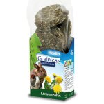 Jr farm biscuits aux dents de pissenlit pour rongeurs et lapin nains 150g