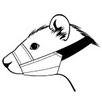 Muselire pour furet