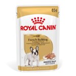 Royal canin adult french bulldog nourriture humide pour chien 12x85g