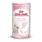 Royal canin lait pour chatons 300g