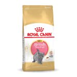 Royal canin britisch shorthair chaton 10kg
