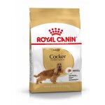 Royal canin cocker adult croquettes pour chien 12kg