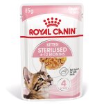 Royal canin kitten sterilised gelee pour chat 12x85g