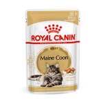 Royal canin maine coon adult pour chat 12 x 85g