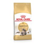 Royal canin maine coon adult pour chat 4kg