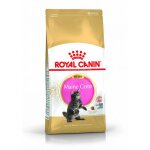 Royal canin maine coon chaton 400g