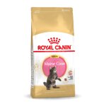 Royal canin maine coon chaton pour chat 10kg