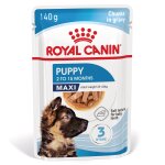 Royal canin shn maxi puppy 10x140g