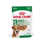 Royal canin mini ageing 12 + pour chien 12x85g