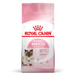 Royal canin mother & babycat croquettes pour chat et chaton 4kg