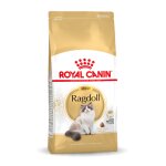 Royal canin ragdoll adult croquettes pour chat 10kg