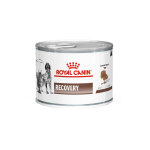 Royal canin recovery chat / chien boite de 195g