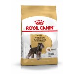 Royal canin schnauzer nain adult croquettes pour chien 3kg