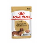 Royal canin teckel adult pour chien 12 x 85g Royal canin teckel adult pour chien 12 x 85g