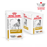 Royal canin urinary pour chien 12x100g