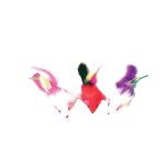 Souris  plumes
