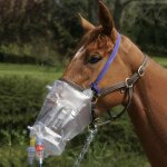 Top - mask pour nbulisateur horseneb