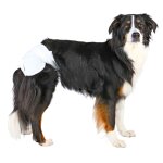 Trixie couches pour chiens femelles xl 12 pcs - tour de taille 40 - 58 cm