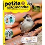 La petite salamandre