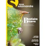 La salamandre