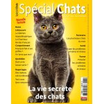 Spcial chats