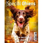 Spcial chiens