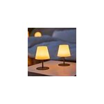2 lampes � poser en aluminium gris anthracite 1, 2w 110 lm ip54 h. 16 cm lumisky twins