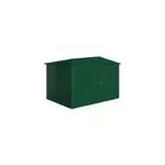 Abri de jardin mtal biohort europa t5 vert fonc surface totale 7. 2 m