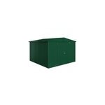 Abri de jardin mtal biohort europa t7 vert fonc surface totale 9. 48 m