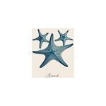 Affiche �toile de mer bleue l. 30 x l. 30 cm dada art
