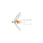 Antenne extrieure trinappe ellipse