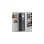 Armoire � fusils serrure �lectronique smith & locke 5 armes avec coffre int�rieur, acier gris 120 l l. ...
