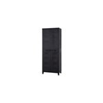 Armoire haute rsine 3 tablettes l. 65 x h. 172 x p. 40 cm