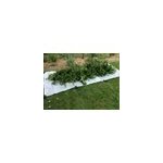 Bache ramasse - haie avec 8 poignées 6x1. 3m jany france Bache ramasse - haie avec 8 poignées 6x1. 3m jany france