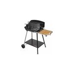 Barbecue charbon de bois exel duo grill