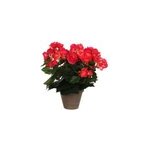 Begonia rose fonc� artificiel �25 x h. 30 cm en pot stan gris �11, 5 cm