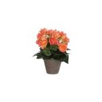 Begonia saumon artificiel �25 x h. 30 cm en pot stan gris �11, 5 cm