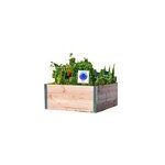 Carr potager mon petit potager design