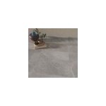 Carrelage sol et mur int�rieur gris clair effet pierre l. 60, 4 x l. 60, 4 cm x �p. 7, 4 mm, himalaya ...