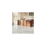 Carrelage sol et mur int�rieur en gr�s c�rame effet marbre blanc poli l. 60 x l. 60 cm x �p. 9 mm, reve ...