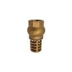 Clapet cr�pine laiton f20 - 27 (3 / 4 ; ) or