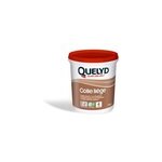 Colle murale quelyd pour liège pâte 1 kg Colle murale quelyd pour liège pâte 1 kg