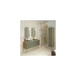 Colonne de salle de bains suspendue vert fougre mat l. 39 x h. 160 x p. 31 cm, 2 portes ouverture  ...