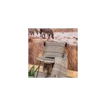 Coussin carr imprim pompons africa l. 45 x l. 45cm deco&co