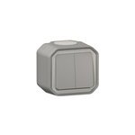Double interrupteur legrand plexo gris en saillie